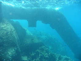 Marine